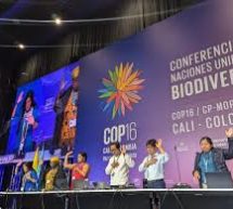 COP16: مؤتمر اتفاقية التنوع البيولوجي – خطوة هامة نحو حماية التنوع البيولوجي العالمي